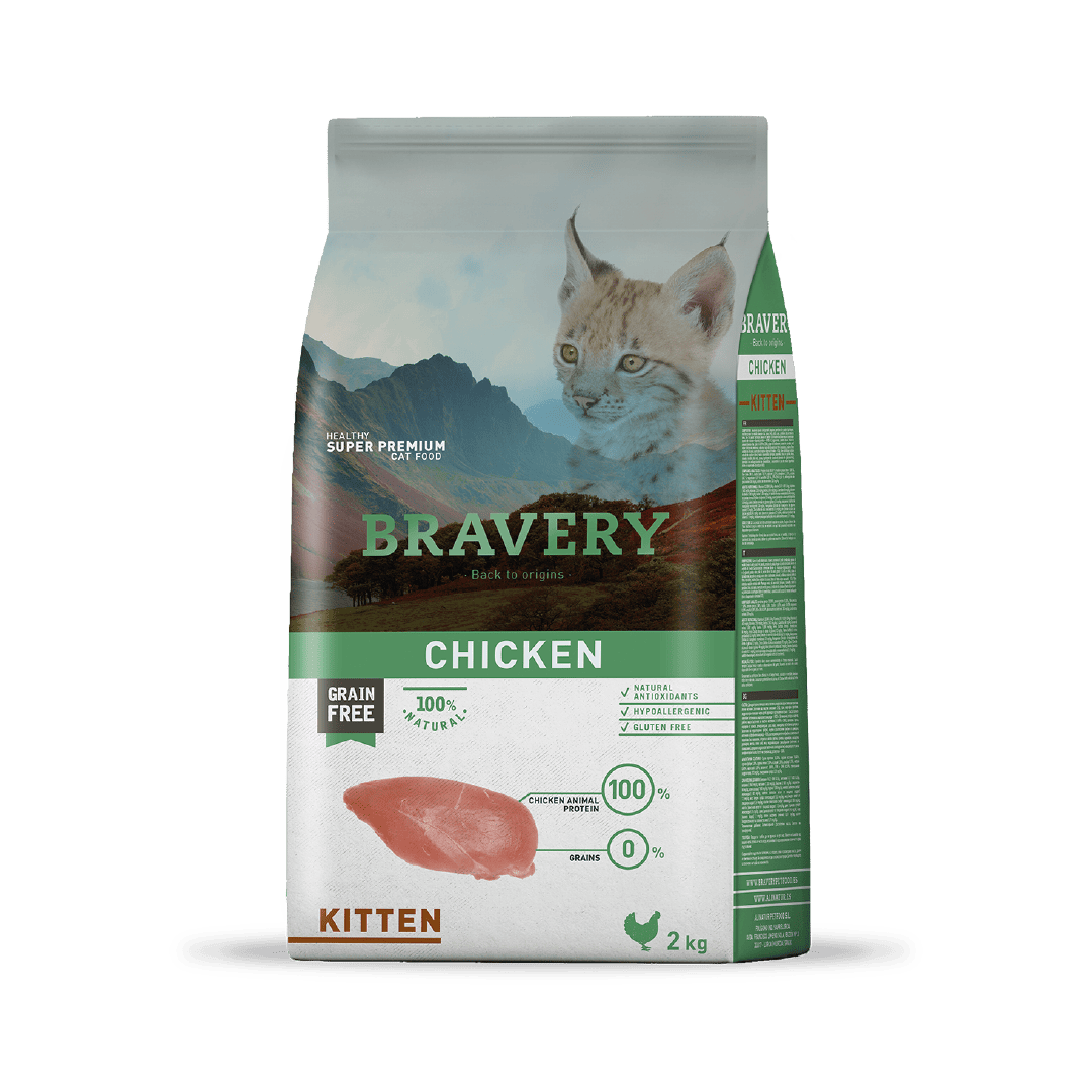 BRAVERY CHICKEN KITTEN